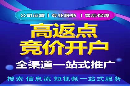 案例分享：网络推广竞价策略应用