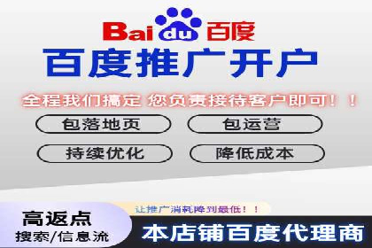 成功利用百度竞价赚钱的五大案例
